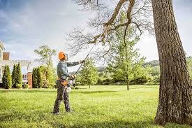 Best Tree Removal Services  in Altadena, CA